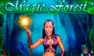 Magic Forest